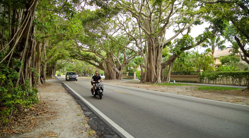 Old Cutler Trail