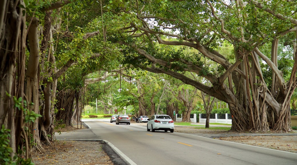 Old Cutler Trail