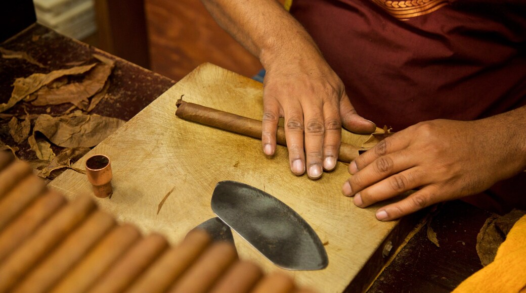 Cuba Tobacco Cigar Co