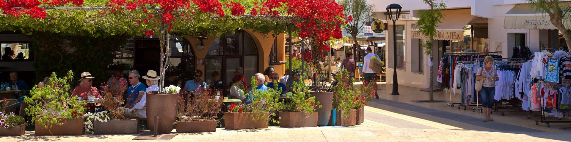 Formentera which includes flowers and signage