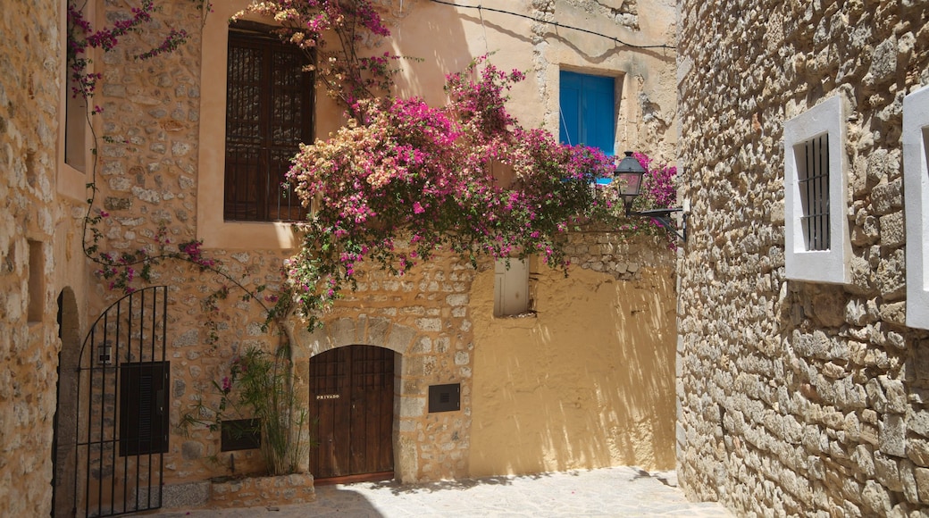 St Maarten and St Martin showing flowers