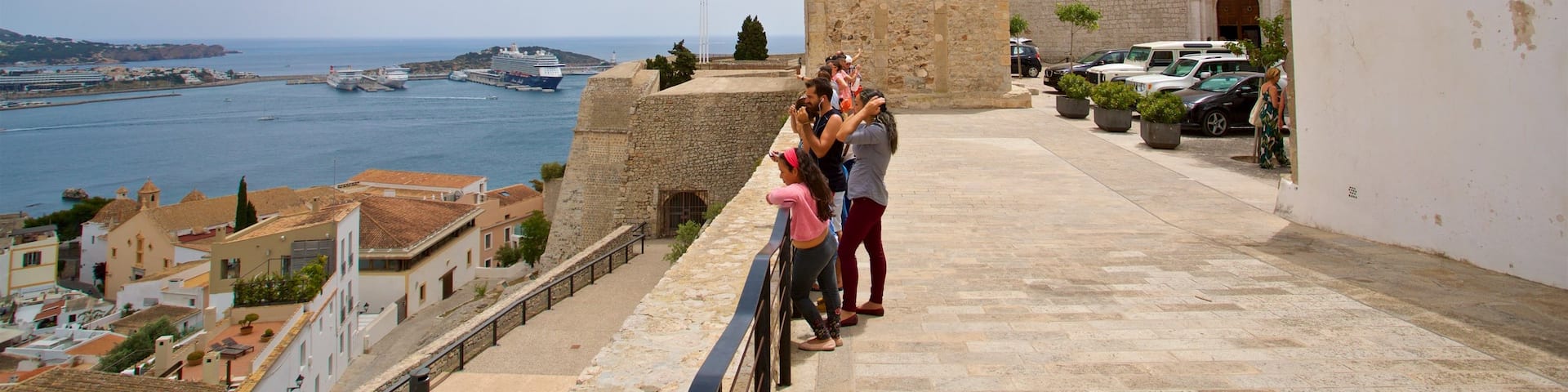 Ibiza Cathedral showing heritage elements and a bay or harbor as well as a family