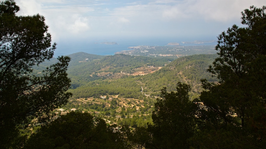 Sa Talaiassa