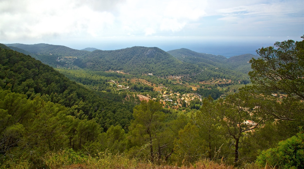 Montagne Sa Talaiassa