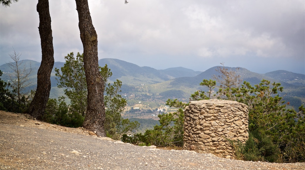 Montagne Sa Talaiassa