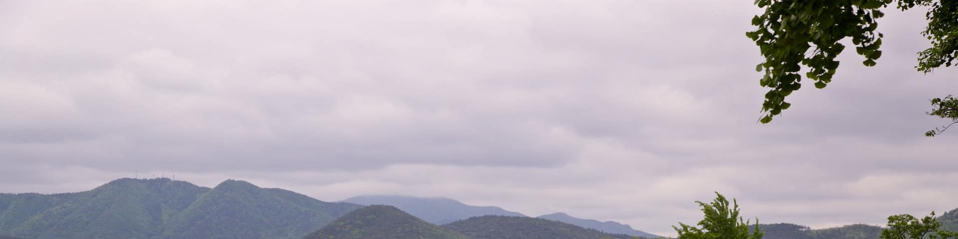 Gyeongju which includes tranquil scenes, a bridge and a river or creek