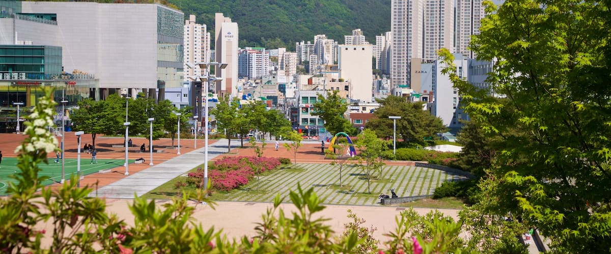 Pusan National University featuring a city