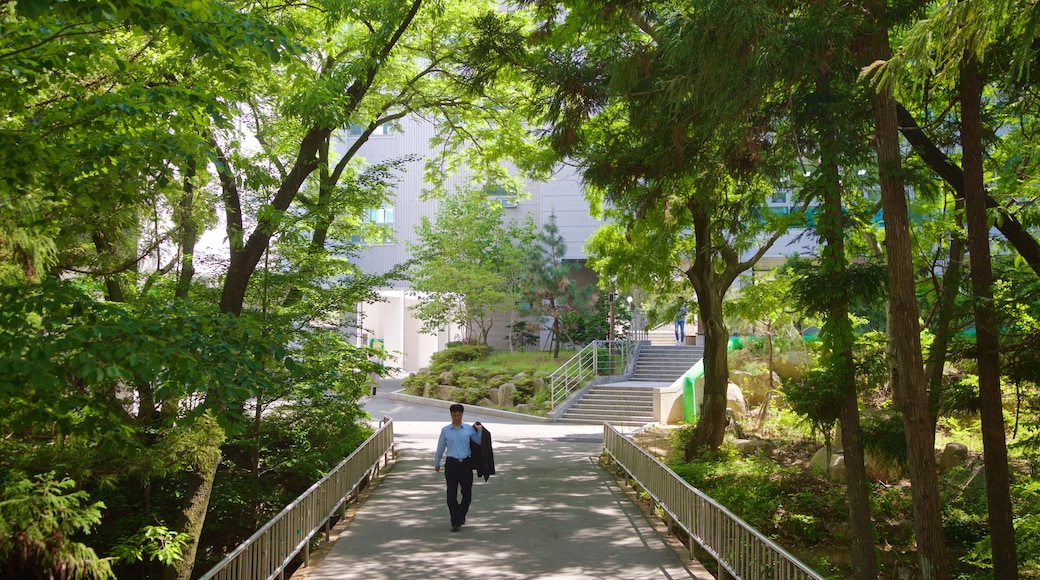 Pusan National University showing a park as well as an individual male