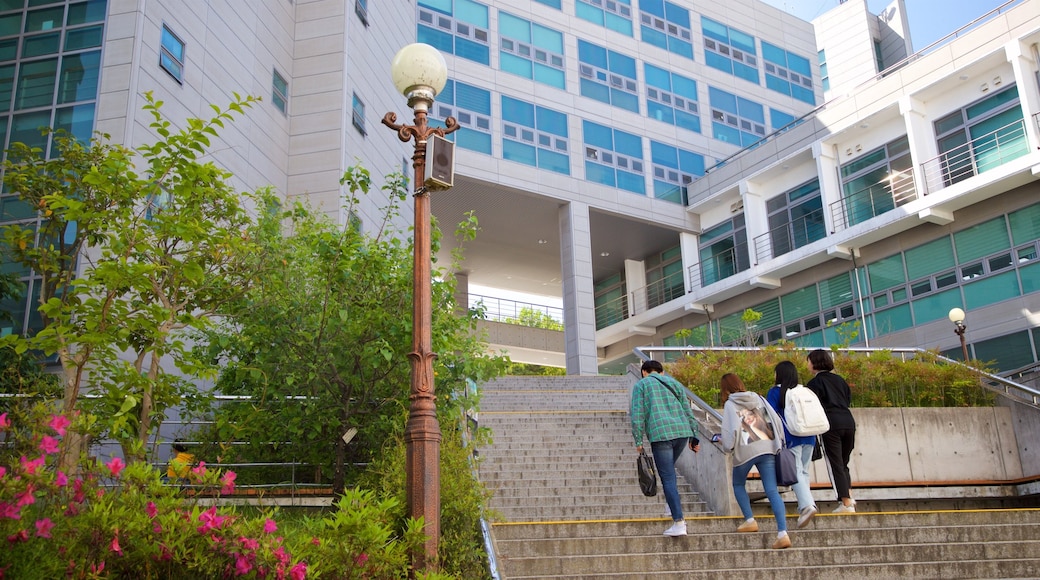 釜山國立大學