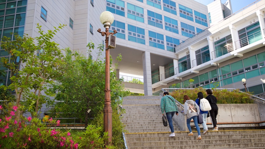 Pusan National University showing street scenes as well as a small group of people