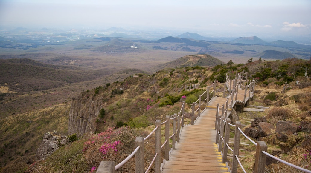 Hallasan National Park featuring landscape views and tranquil scenes