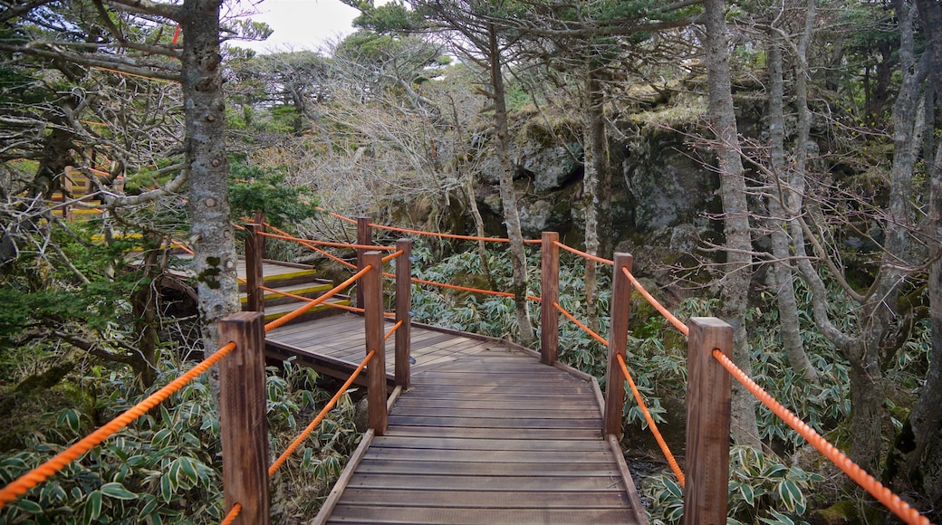 汉拿山国立公园