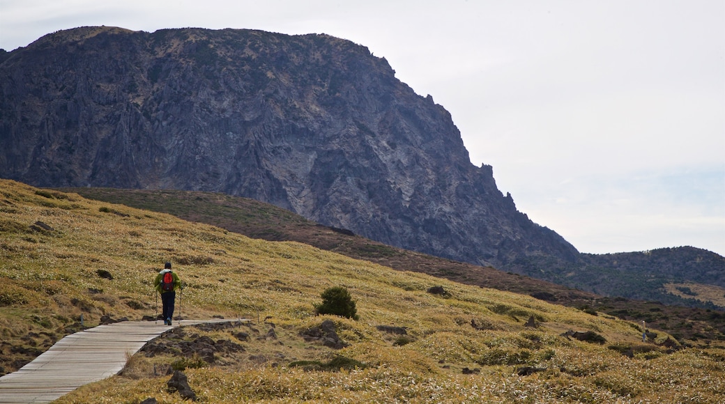 Hallasan National Park showing hiking or walking, landscape views and mountains