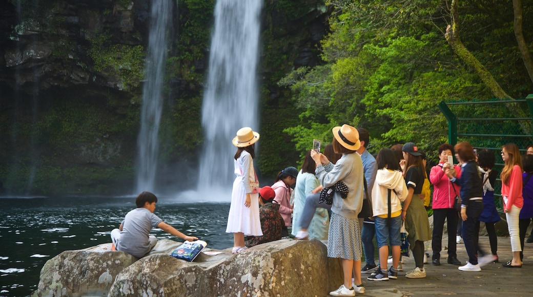 Cheonjiyeon Waterfall showing a waterfall as well as a small group of people