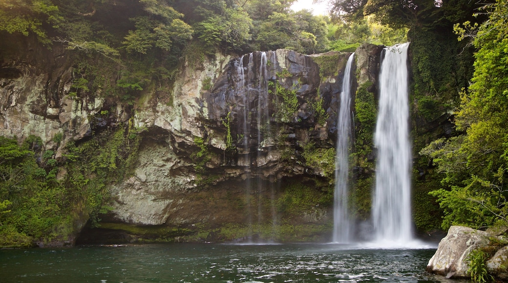 Cheonjiyeon Waterfall which includes a waterfall