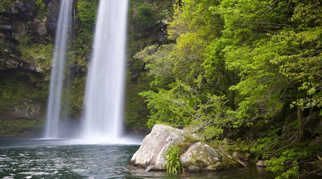 Cheonjiyeon Waterfall featuring a waterfall