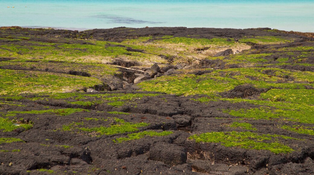 Hyeopjae Beach which includes rugged coastline and general coastal views