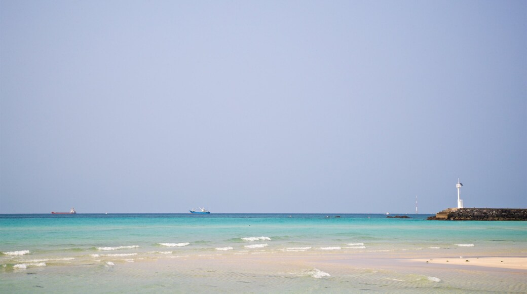 Hyeopjae Beach featuring tropical scenes, general coastal views and a sandy beach