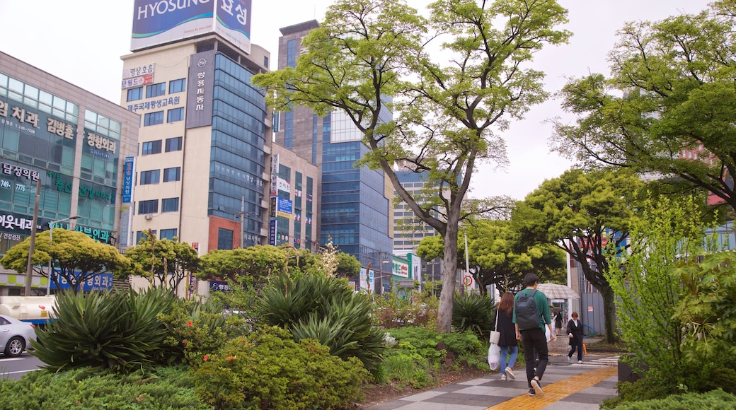 Jeju