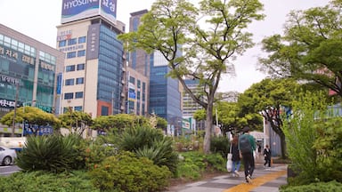 Jeju City showing a city and a park