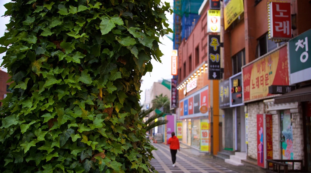 Thành phố Jeju