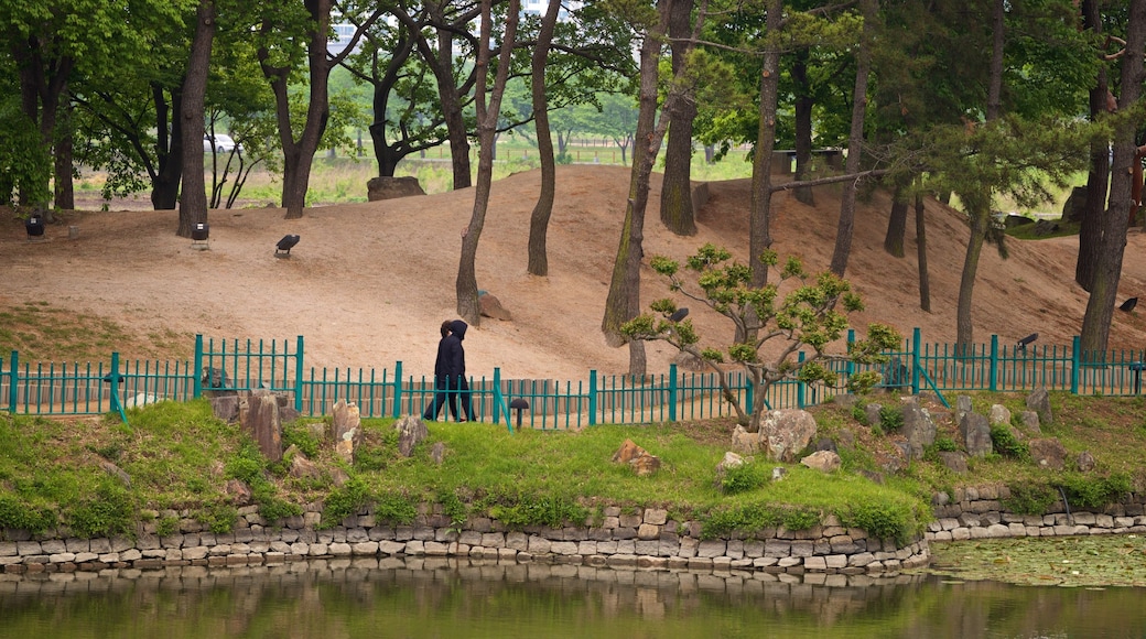 Gyeongju Donggung Palace and Wolji Pond showing a pond and a garden