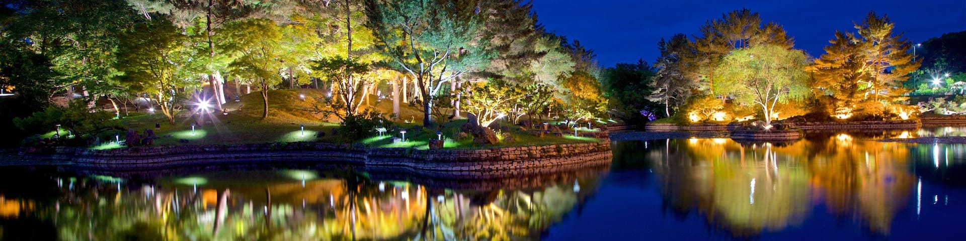 Gyeongju Donggung Palace and Wolji Pond showing a lake or waterhole and night scenes