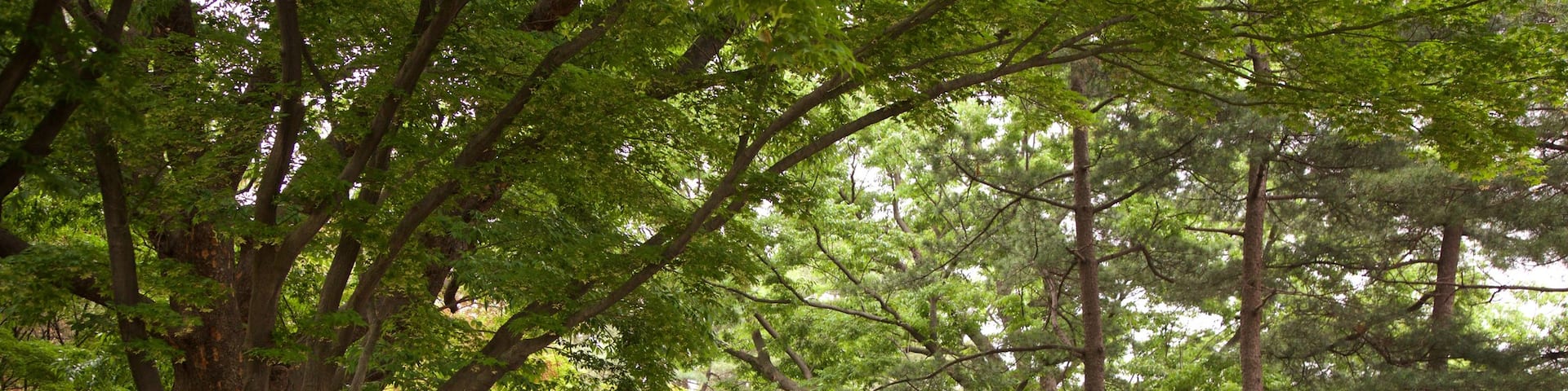 Tumuli Park featuring a garden as well as a couple