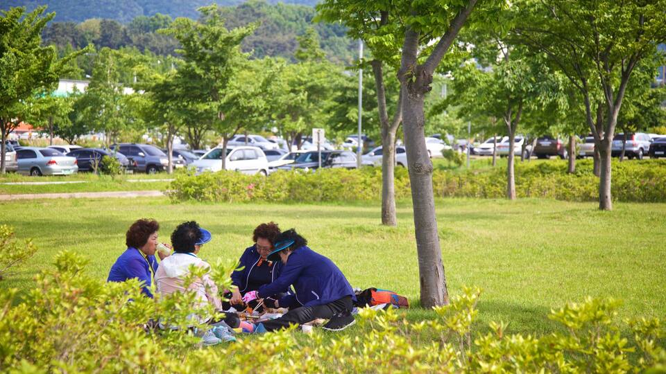 Hwamyeong which includes picnicing and a garden as well as a small group of people