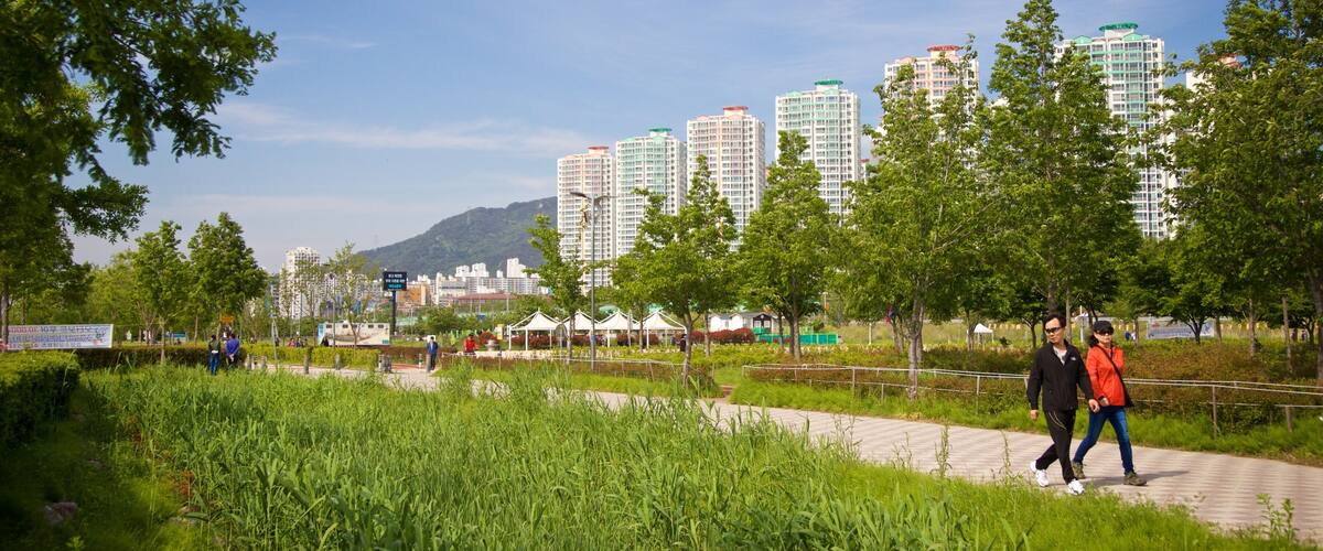 Hwamyeong showing hiking or walking and a park as well as a couple