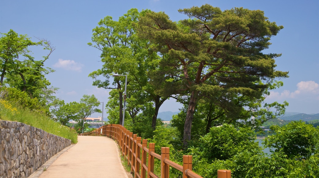 Bomun Lake which includes a park