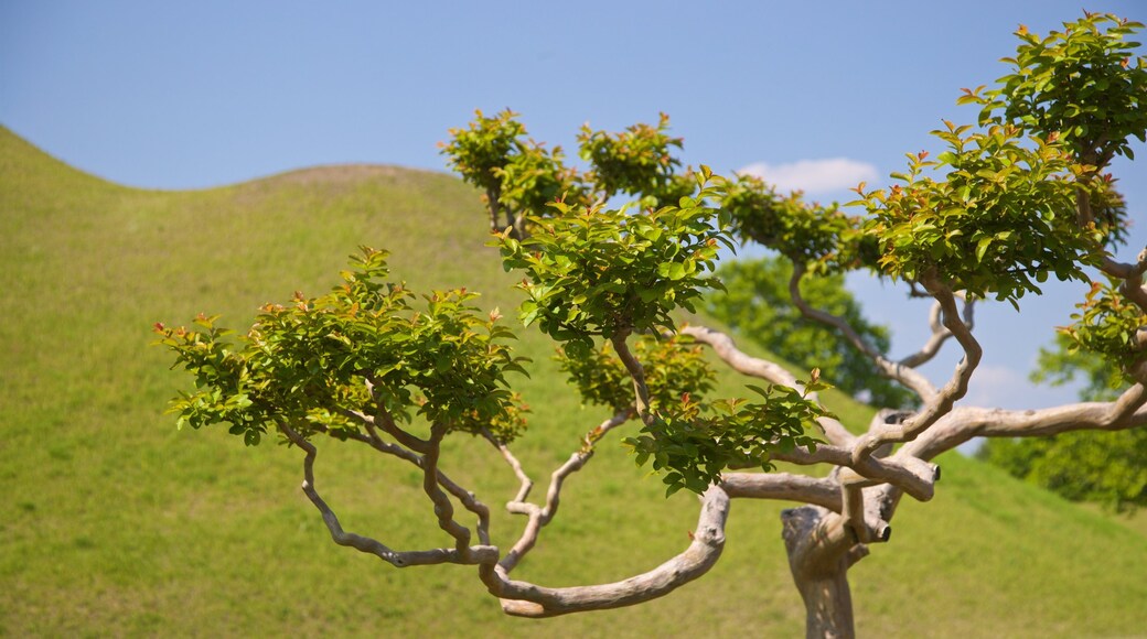 Tumbas reales de Daereungwon