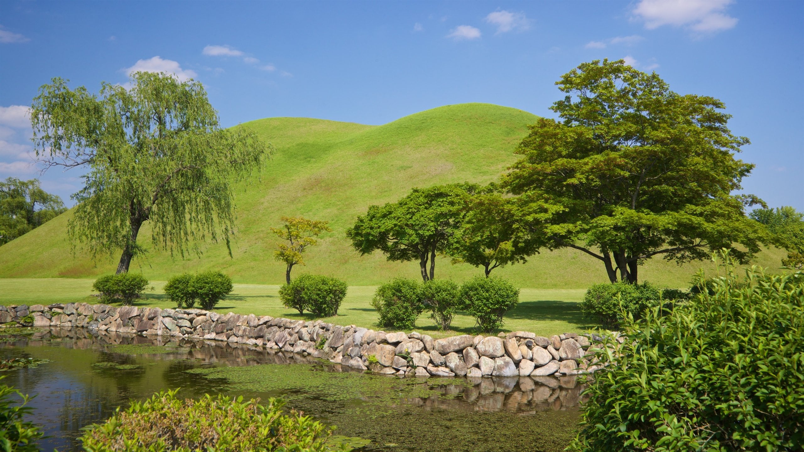 Mộ Hoàng gia Daereungwon tại Gyeongju | Expedia