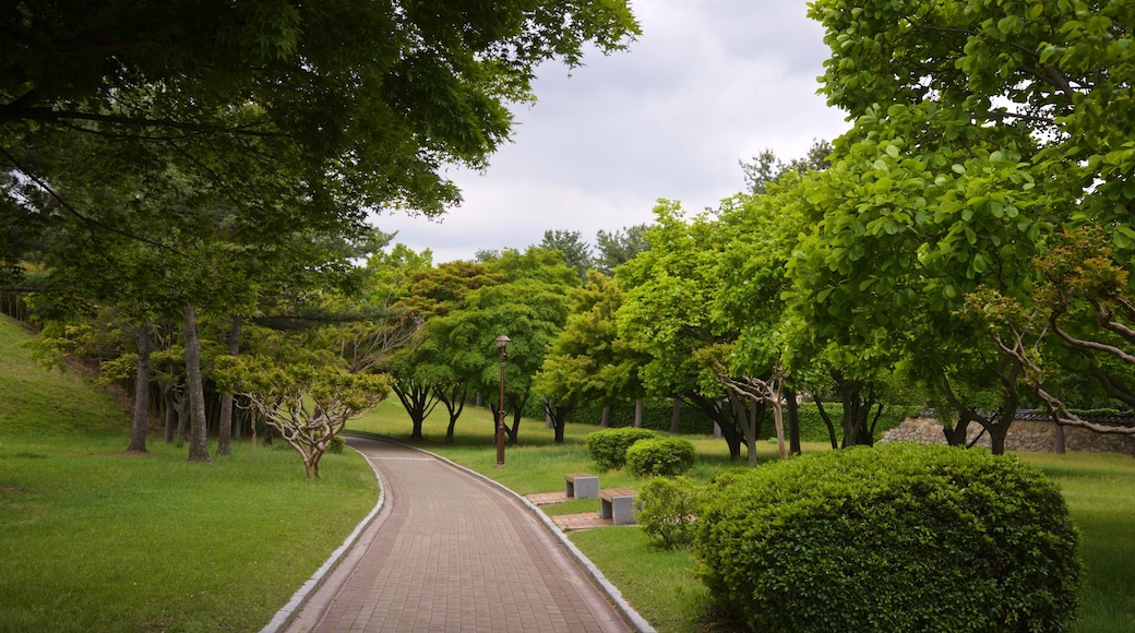 St Maarten and St Martin which includes a garden