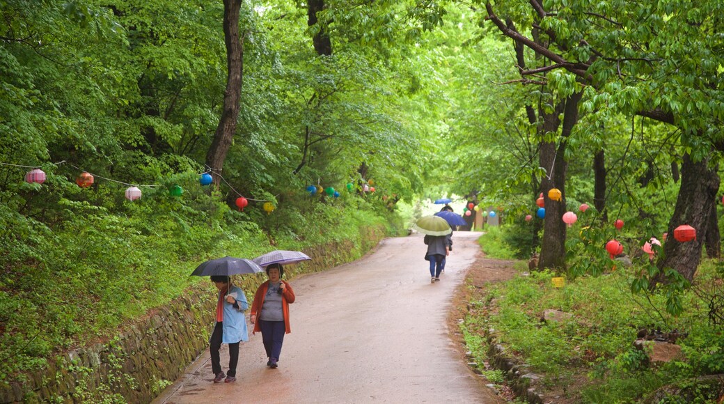 Bongjeongsa Temple which includes a park as well as a couple