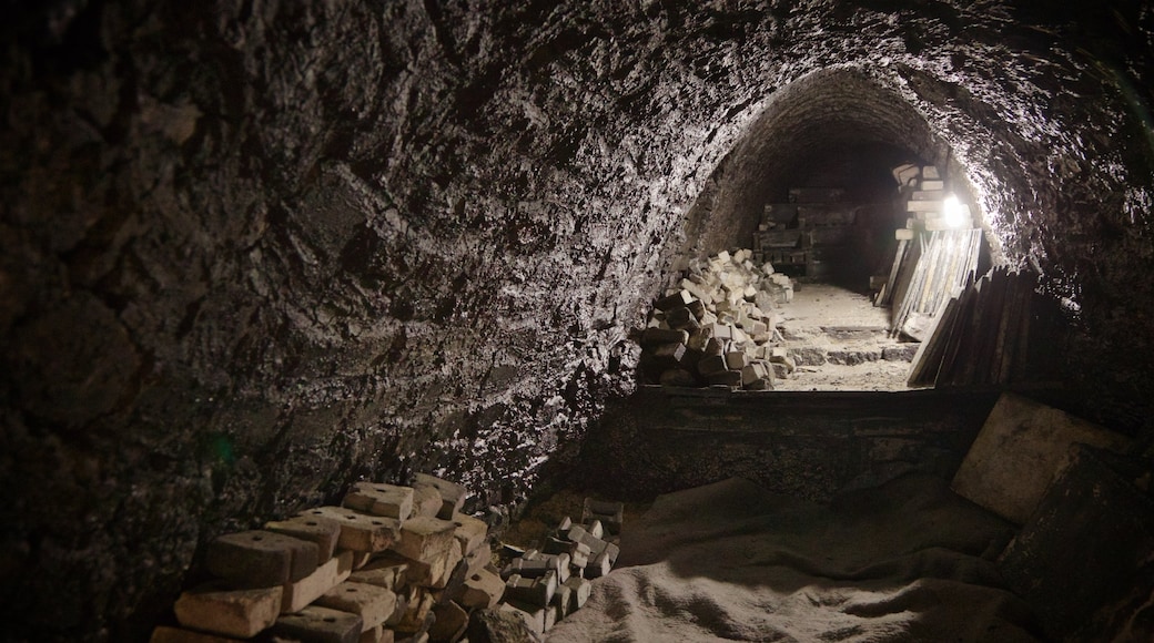 Kyongju Folk Craft Village showing interior views