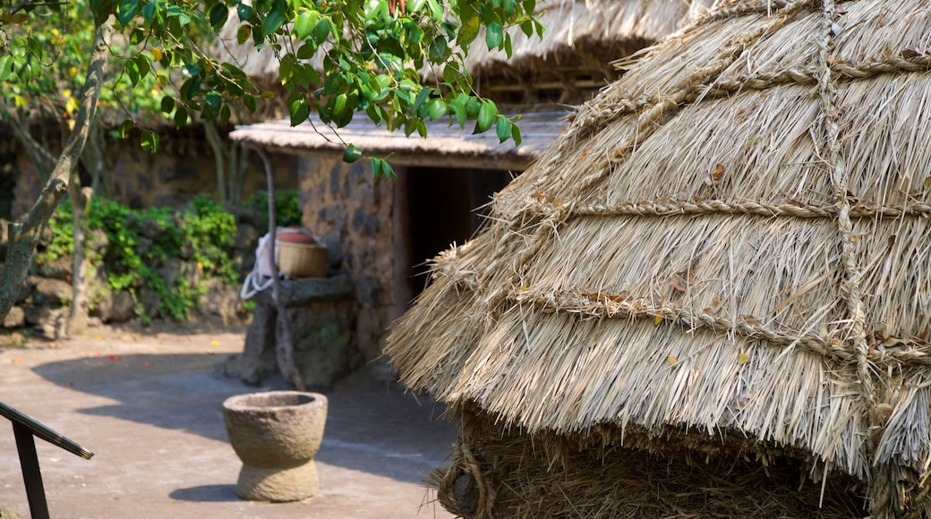 Jeju Folk Village Museum featuring a small town or village