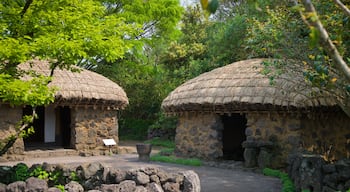 Jeju Folk Village Museum which includes a small town or village