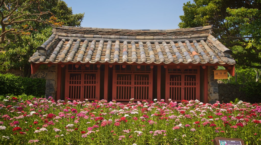 Jeju Folk Village Museum which includes heritage elements and wildflowers