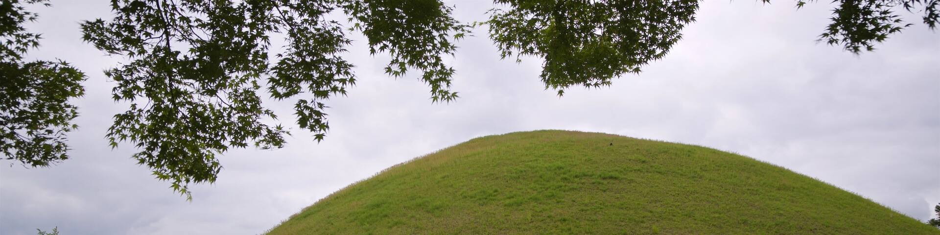 Cheonmachong showing a park