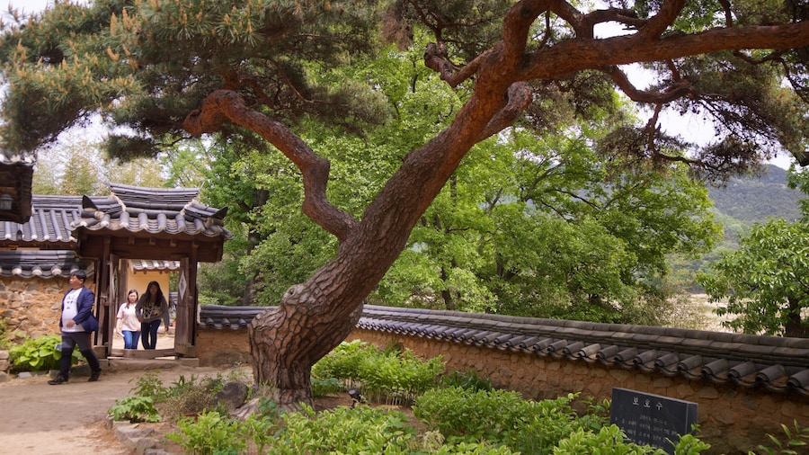 Ogyeonjeongsa Hus