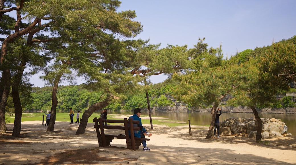 Andong Hahoe Folk Village featuring a lake or waterhole as well as an individual male