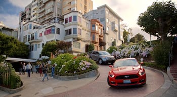 Lombard Street featuring flowers, a sunset and a house