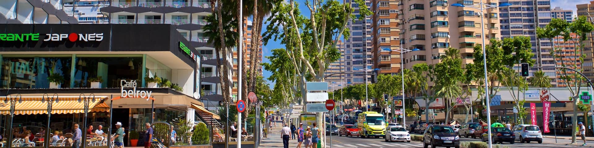 Benidorm Centro showing a city