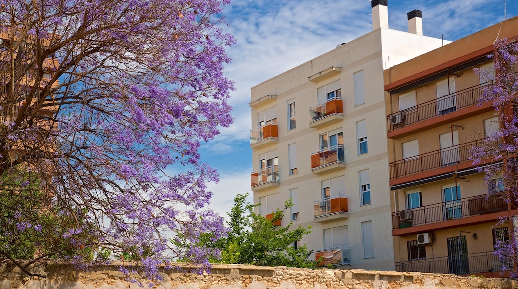 Feria Valencia showing wildflowers