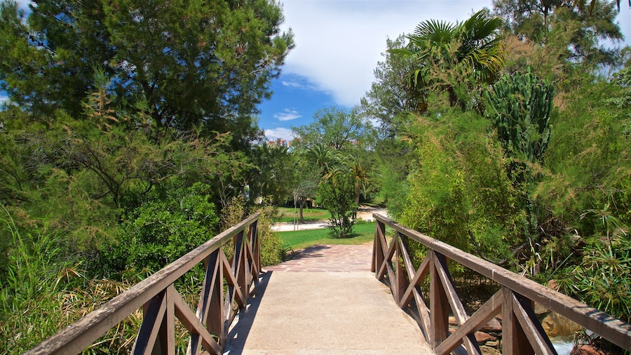 Parc de Benicalap showing a garden