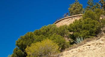 San Fernando Castle showing views as well as a couple