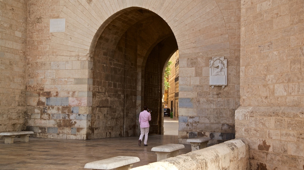 Serranos Towers showing heritage elements as well as an individual male