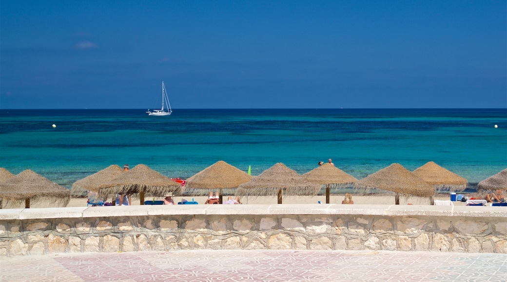 La Fossa Beach featuring tropical scenes and general coastal views