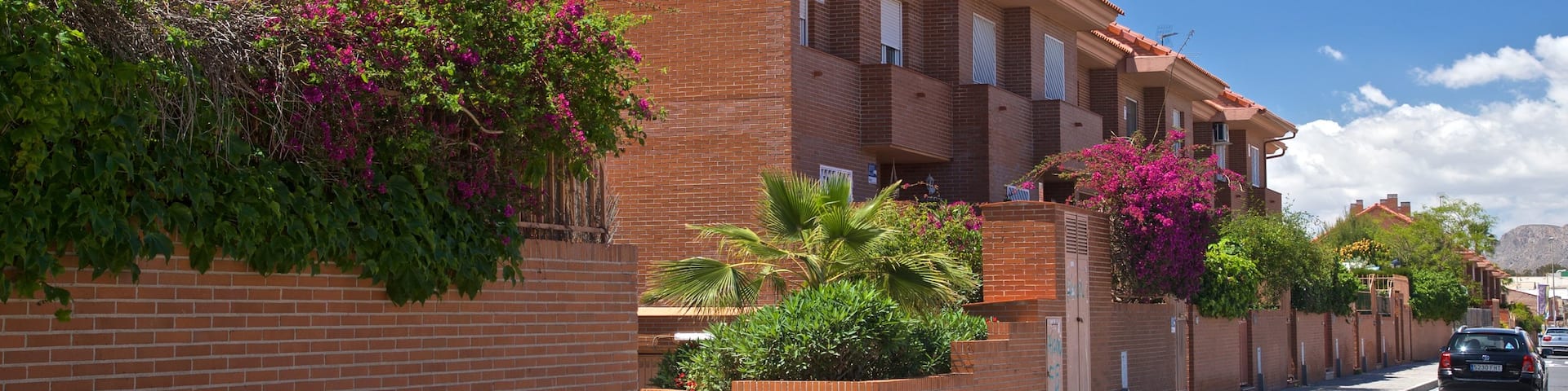 Ciudad Jardin featuring wildflowers